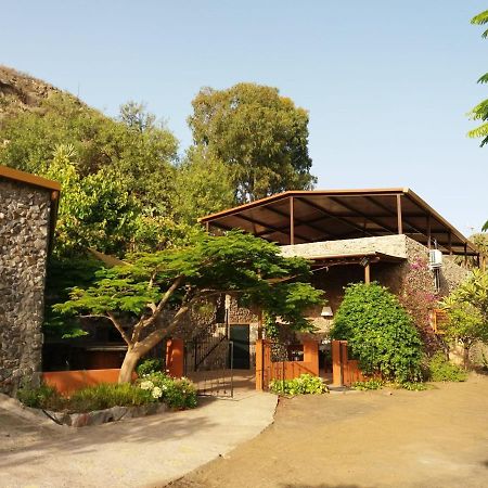バルセキージョ Peaceful House Set On A Vineyard & Work Friendlyヴィラ エクステリア 写真