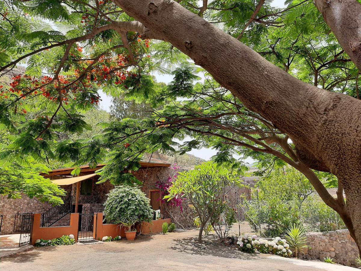 バルセキージョ Peaceful House Set On A Vineyard & Work Friendlyヴィラ エクステリア 写真