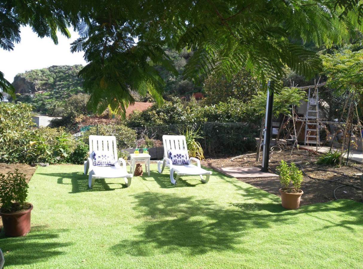 バルセキージョ Peaceful House Set On A Vineyard & Work Friendlyヴィラ エクステリア 写真